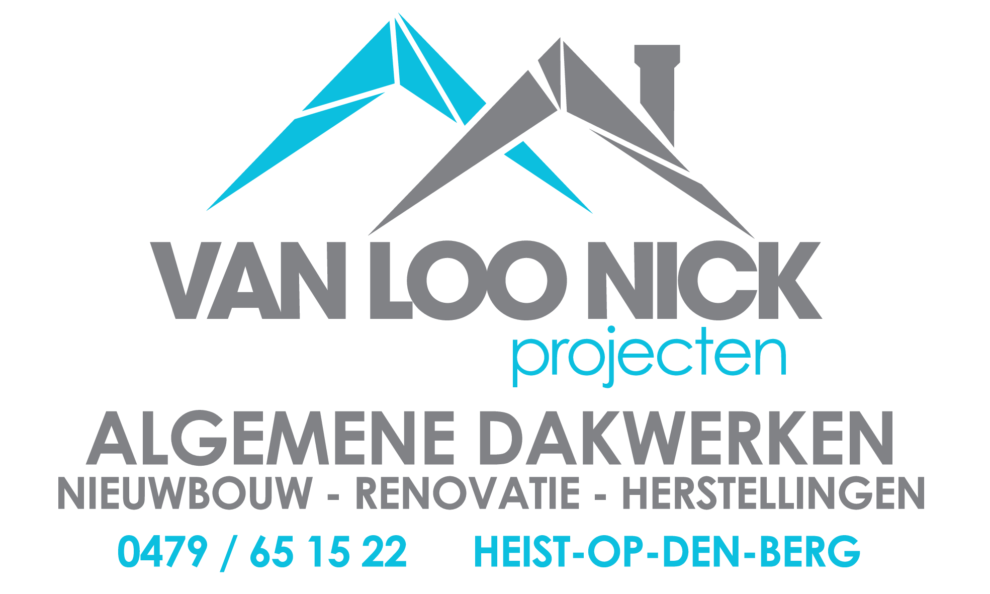 Van Loo Nick Projecten